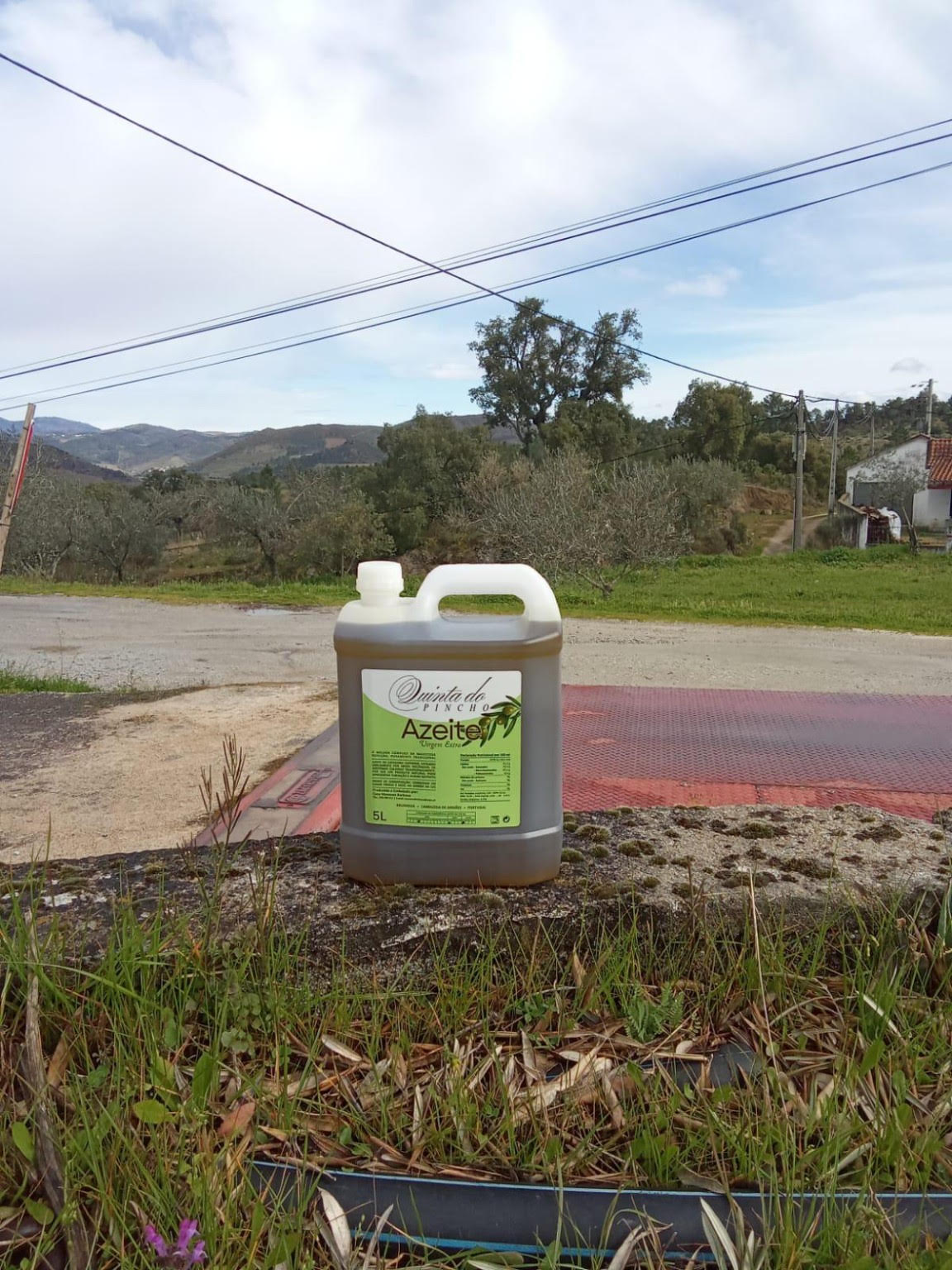 Garrafão 5L